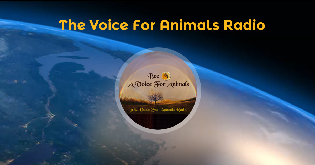 The Voice For Animals Radio - Supporting Animals Worldwide!